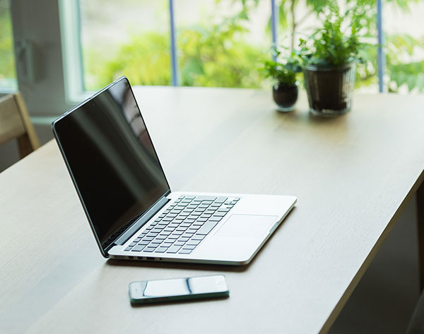 動画で見るケルビン